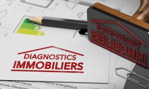 Diagnostiqueur Immobilier